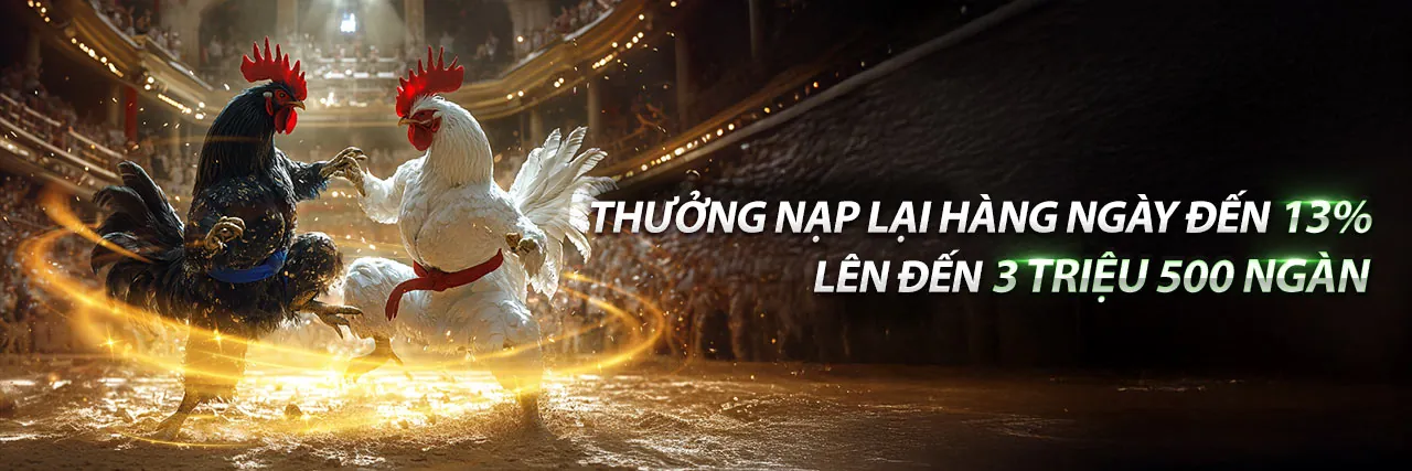 Đá Gà Trực Tuyến Hấp Dẫn tại nhacai.com
